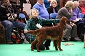 Crufts2011 296